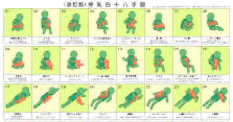 御所車 体位|四十八手 (アダルト用語)